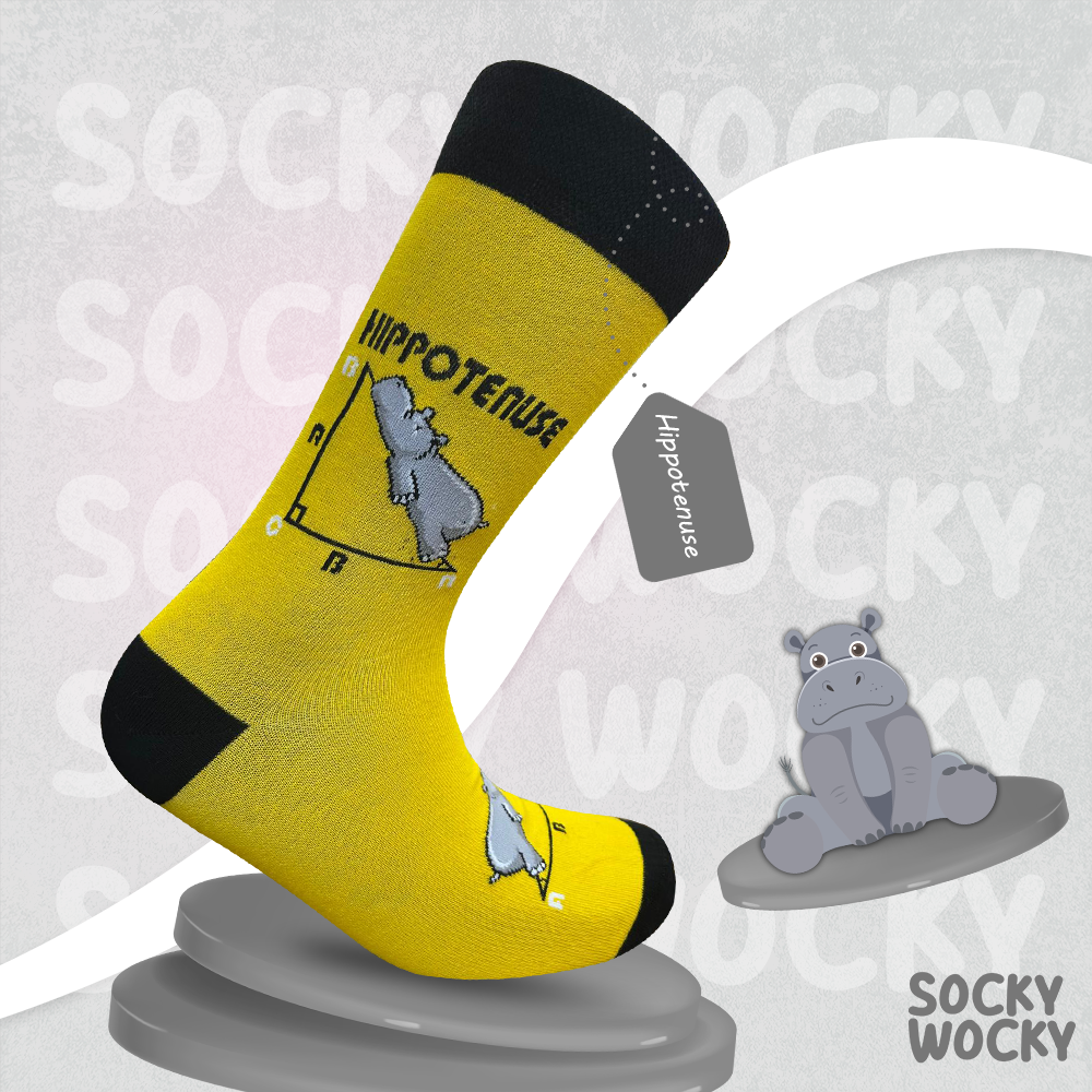 Hippotenuse Yellow Socks Geometric Math Edition